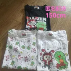まいぜんシスターズ 半袖 Tシャツ 3枚セット 150cm