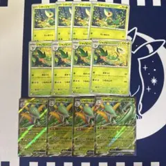 ジャローダex 進化ライン　ツタージャ　ジャノビー　ジャローダ各４枚