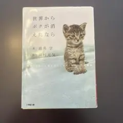 本　世界からボクが消えたなら