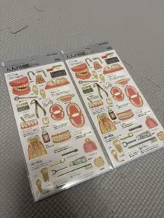 【大人の図鑑シール】 歯 編 2枚