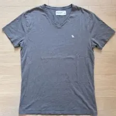 アバクロンビー＆フィッチVネックTシャツネイビL ムース刺繍のサムネイル