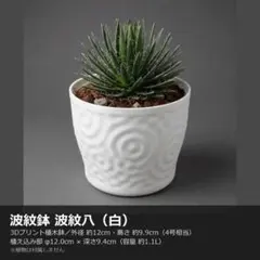 B409 3Dプリンター鉢 4号 内径12cm 波紋八 白 植木鉢 作家鉢 薄肉