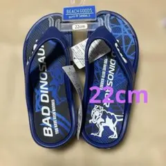 恐竜プリント軽やかサンダル　ビーチサンダル　靴　シューズ