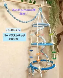 2026年最新】バードアスレチックの人気アイテム - メルカリ