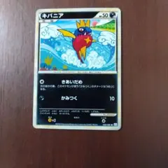 ポケモンカードキバニアのサムネイル