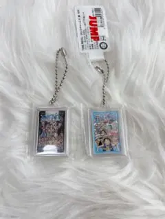 ワンピース アクリルキーホルダー 2個セット