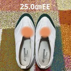 MOONSTAR 上靴 25.0㎝EE