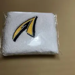 Item thumbnail for item 229b00fc-68e0-4782-8322-cdfc70ed5cfb