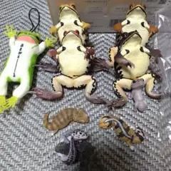 爬虫類