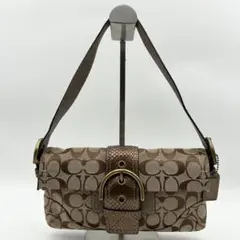 希少✨ コーチ ワンショルダーバッグ ソーホー シグネチャー パイソン y2k