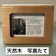 天然木製写真立て スタンド付き