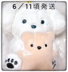 A賞 ぬいぐるみマスコット 一番くじ ちょこっと いぬとのくらし