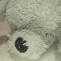 犬 ぬいぐるみ
