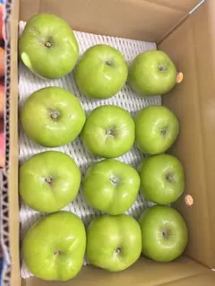 長野産りんごブラムリーアップル青色 酸味 箱込5キロ大玉 長野産りんごブラムリーアップル青色 酸味 箱込5キロ大玉 - メルカリ