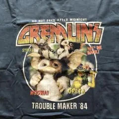 Item thumbnail for item ffdae83e-8833-42c6-9fd1-5a14bb271f45