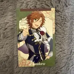 スタフォニ カードコレクション MaM