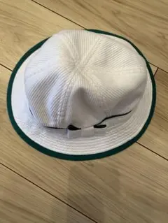 Item thumbnail for item 767a46f5-98b5-4476-a0da-16f23b166b70