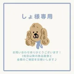 しょ様 リクエスト 3点 まとめ商品