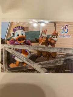 ディズニー スペシャルフォト スペフォ 2018 35周年