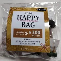 LUNA ヘアアクセサリーとイヤリングセット福袋