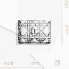 DIORディオール　ノベルティ　シルバーポーチ 約20cm x 13cm