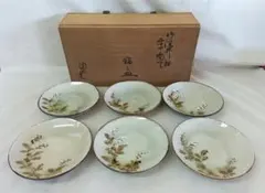 未使用品 木の葉文皿 卯之助 河合卯之助 向日窯 押葉文様皿 木箱 小皿