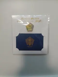 嵐のワクワク学校2019 ピンバッジ