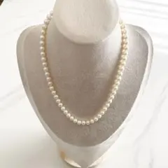 Item thumbnail for item 2e4c3f02-377b-459d-beaa-34bf96ccbd27