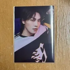 SEVENTEEN's HOME トレカ ディノ 48