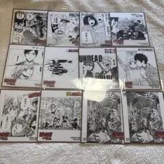 ジャンプフェア in アニメイト 2025 特典 ミニ色紙