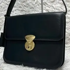 未使用✨️ペッレモルビダ マリーナ ミニショルダーバッグ ワンショルダー ブラック