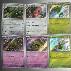 キラ S 色違い ６枚セット