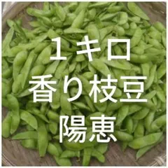枝豆A品のサムネイル