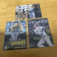 カルビー1989 プロ野球カード　セシル・フィルダー　カード タカラプロ野球カードゲーム 89年版 セシル・フィルダー(阪神