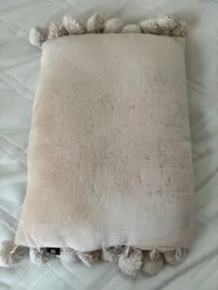 Item thumbnail for item 1107f423-8e5e-4873-a303-215bc1c8fd53