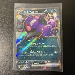 2026年最新】モルペコex RRの人気アイテム - メルカリ