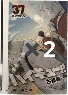 ハイキュー!! ゴミ捨て場の決戦 特典 ブックカバー　×2枚