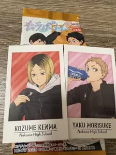 ハイキュー キャラポトレ