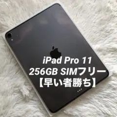 【年始割】iPad Pro 11インチ 256GB SIMフリー【すぐ発送】