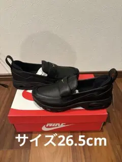 Item thumbnail for item d8a33f45-b211-413c-93e2-073ec5a2a45c