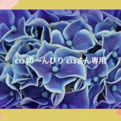 ミクリン様専用 アジサイ 島根オリジナル 瑠璃るらら クレマチス 妖精