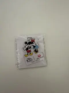 ミッキーマウスとミニーマウス ピンバッジ 100周年