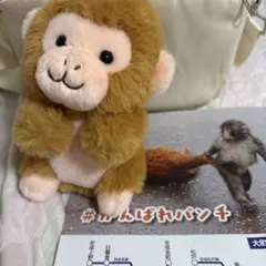 新品・未使用】ニホンザル ぬいぐるみ くじ4等 市川市動植物園 - メルカリ