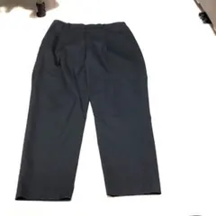 今日だけ価格。ユニクロ黒の一年中着用できるスマートアンクルパンツ
