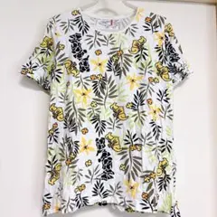 Item thumbnail for item c8b75675-6cbc-4566-b172-b832a568a78c