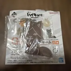 一番くじ ハイキュー 最強の挑戦者 G賞 アクリルチャーム