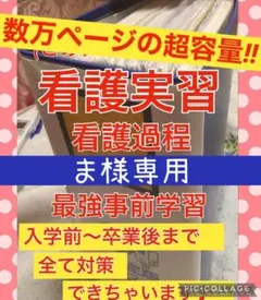 看護実習 手順書 関連図 計画 看護過程 アセスメント 国試 レポート