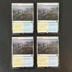 MTG 儚い存在 日本語版 4枚セット品 - メルカリ