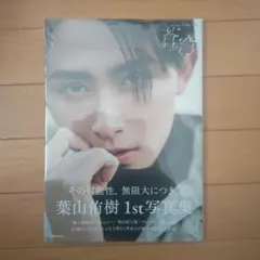 Item thumbnail for item 3dc93279-d13c-4294-b9a9-d7dbb6b63816