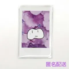 2025年最新】Adoチェキの人気アイテム - メルカリ